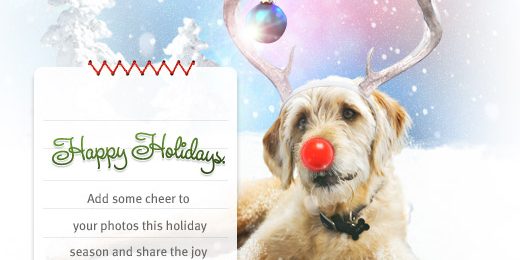 Banfield Pet Hospital